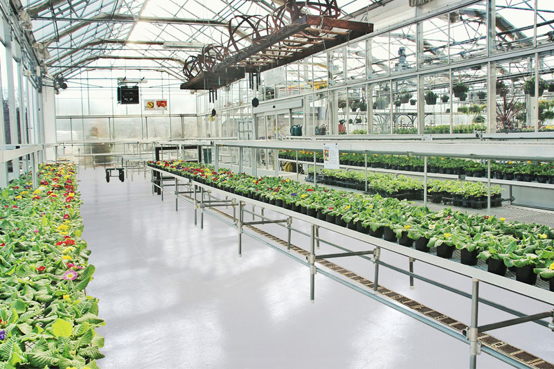 Greenhouse Cannabis Flooring - Leamington Ontario